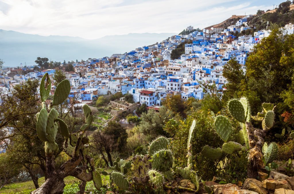 Chefchaouen, Morocco : General view of the medina old town, well noted for its blue-washed architecture. Pricly pear cacti in foreground.