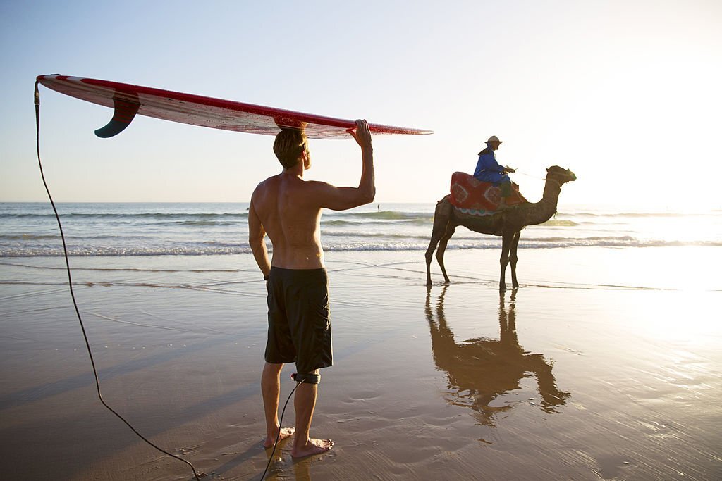 Surfer on the beach with camel and long board at sunset Taghazout, Morocco