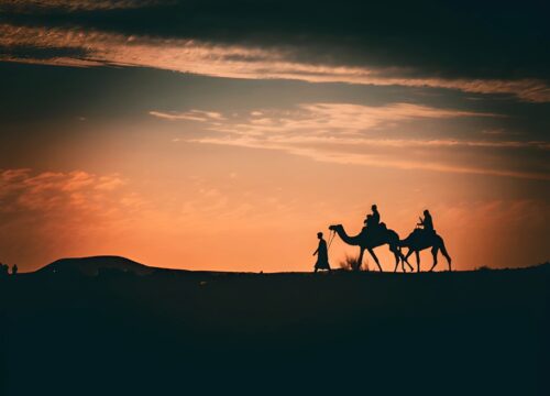 Private desert routes and overnight camps